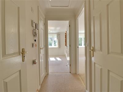 Picture 8